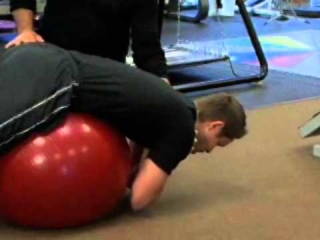 Trunk Strength - For the Lower Back